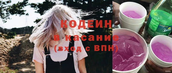 эйфоретик Арсеньев